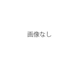 フレキシブル管13*1000